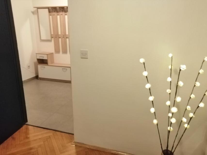 PUY Apartman Sanja מראה חיצוני תמונה